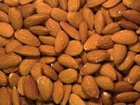Quality Almond  Nuts , Apricot Kernels, Betel  Nuts ,  Brazil   Nuts , Canned  Nuts ,  Cashew   Nuts , Chest nuts 