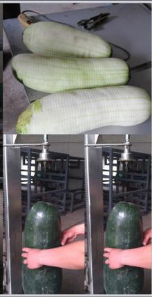 vegetable and fruit peeling machine