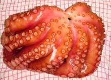 Octopus cut 2 legs frozen