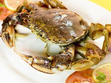 best quality seafood and fresh frozen blue swimming crab