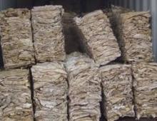 Quality Salted Beef Omasum for sale with best prices