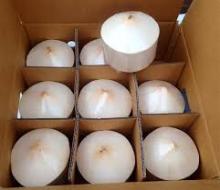 Fresh  Coconut  /  Young   Coconut  ready for urgent shipment