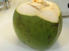 Thai Fresh Young Coconuts for sale