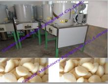 Stainless steel garlic peeling machine
