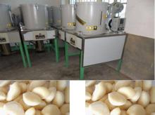 Automatic convenient cheaper garlic peeling machine