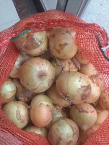yellow onion