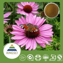  echinacea  purpurea  extract   polyphenols , cichoric acid 2%-7%