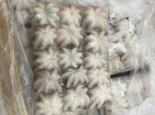Frozen Whole Cleaned Baby Octopus