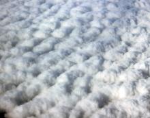 Raw Cotton, Surgical Cotton, Cotton Comber Noil, Cotton  Wool 
