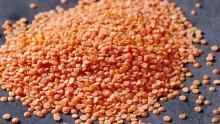 whole/split lentils