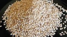 sesame seeds