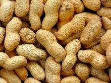 raw peeled peanuts 30/40, 50/60