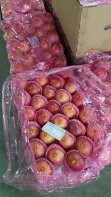  fresh   plastic   bagged   fuji   appl e