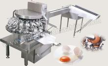  Automatic   Egg  Breaking Machine
