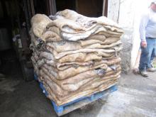 Donkey Hides, Cow hides, Cow head skin, Leather, Animal skin