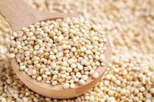 Best quality Quinoa (Black, Red, White, Tricolor) for sale