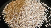 Sesame  Seeds , Pumpkin   Seeds ,Hemp  Seeds ,Vanilla Seed for sale