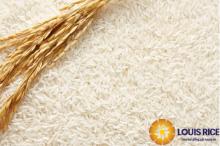 Long Grain White Rice 5% Viet nam