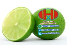  FRESH  LEMON