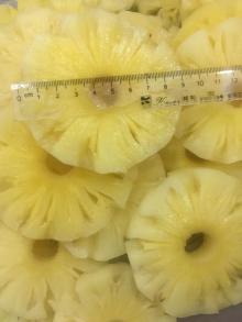  Canned  Pineapple  Slices  in light syrup