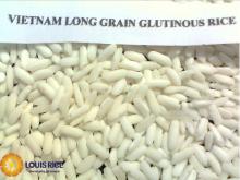 Glutinous Rice 5% Viet nam