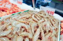 Fresh prawns and shrimps in the ice for sale