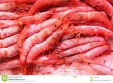 Frozen Red Shrimp PUD Solenocera Melantho