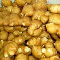 Fresh Ginger / Fresh Garlic / Fresh Onions / Green Cardamon