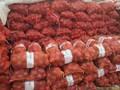Fresh Red, Yellow, White Onions for urgent shipment and at very moderate prices