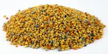  Mix ed  bee   pollen   bee  bread