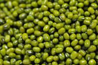  High   Quality   Green   Mung   Bean s for Sell here