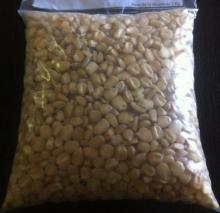 NON GMO white Maize