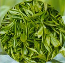 100% GMO Free Green Tea Extract by Chinese Manufacturer