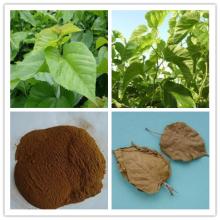 Competetive Price Mulberry Extract Fine Powder by Chinese Supplier