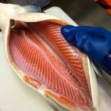  Atlantic   salmon   fillet s,  frozen 