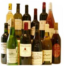 All type of  wine 