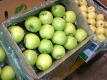  Fresh  south africa  farm   apple s