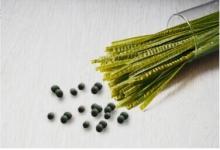 Organic Green Soybean spaghetti