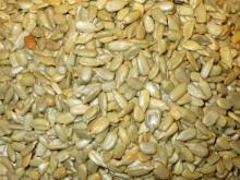 Pumpkin Seeds