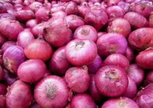 Fresh/Dried Red Onion