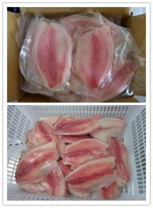 Frozen Tilapia fillet