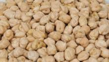 9mm Kabuli chickpeas for sale