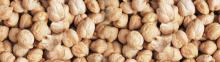 Kabuli CHickpeas