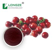 Cranberry Extract Powder Proanthocyanidins 50%