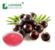 Brazilian Acai Berry (Euterpe oleracea )Extract powder