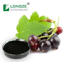 Black Currant ( Ribes   nigrum  L.)Extract Powder Anthocyanidins 25%
