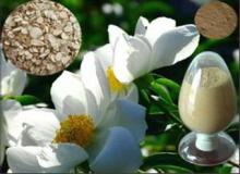 GMP certification Paeoniflorin