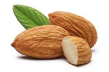Dry nuts in shell (Almonds)