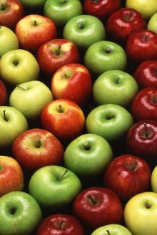 SA Fresh Fruits