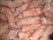  Frozen   Pork  Ear / Frozen   Pork   Feet  /  Frozen   Pork  Tail